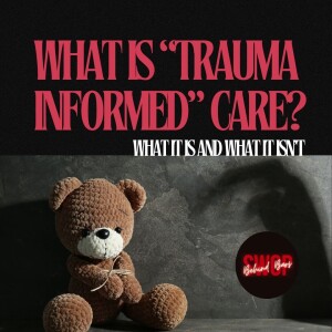 What is Trauma Informed Care?