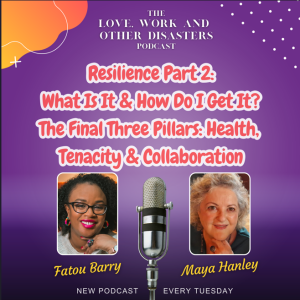 Resilience part 2 - The Final Three Pillars: Health, Tenacity & Collaboration