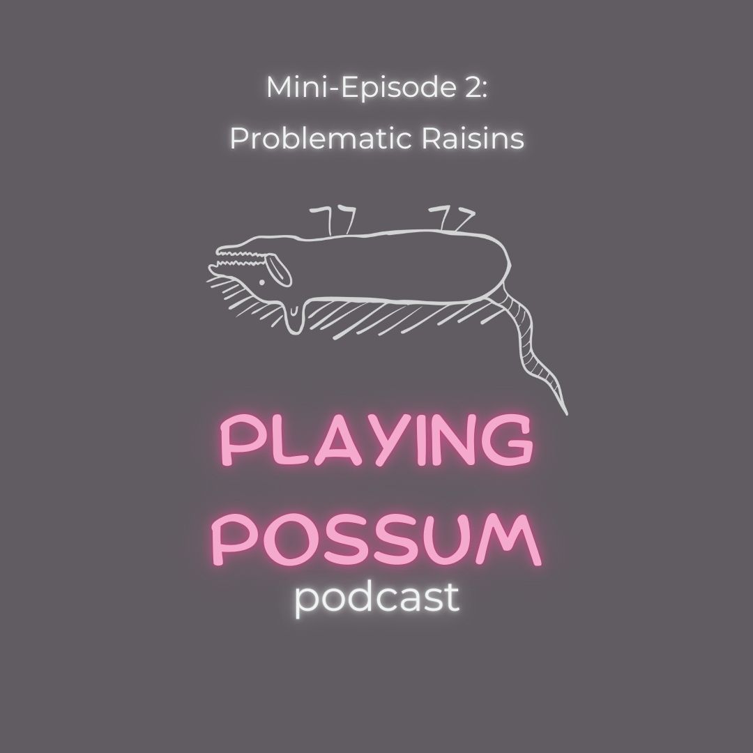 The Playing Possum Podcast