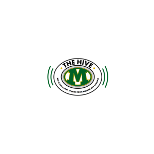 The Hive:  Bee in the Know-Stories from Medina City Schools