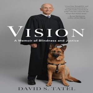 PDF Vision: A Memoir of Blindness and Justice     Hardcover – June 11, 2024