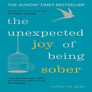 PDF The Unexpected Joy of Being Sober: Discovering a happy, healthy, wealthy alcohol-