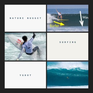 Nature Nugget: Surfing