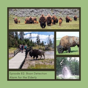 Bison Detection Alarm for the Elderly