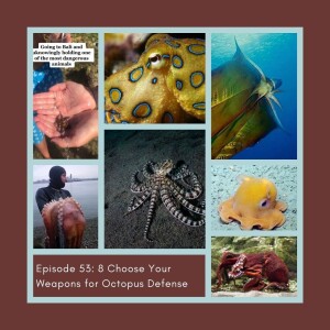 8 Choose Your Weapons for Octopus Defense