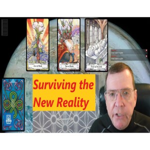 Surviving the New Political Reality with Divination