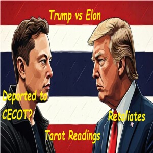 Trump vs Elon