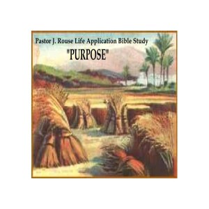 Pastor J. Rouse Life Application Bible Study: Life Series #3 - ”Purpose”