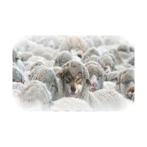 Oh Can It Be: False Preaching, Cults, Paganism, Heresy and other Beliefs