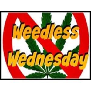 Weedless Wednesday and Wondering What Would Jesus Do.....