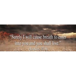 Pastor J. Rouse Life Application Bible Study: Life Series #2 - ”He Is”