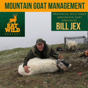 EatWild 79 - Mountain Goat Management - With Bill Jex - Provincial wild sheep and mountain goat specialist