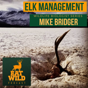 EatWild 55 - Elk Management with Mike Bridger -  Wildlife biologist series