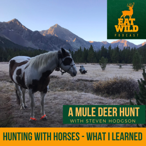 72 - Hunting with Horses - What I learned with Steve Hodgson