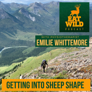 EatWild 53 - Getting into Sheep Shape