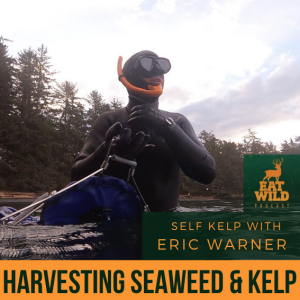 EatWild 99 - Harvesting Seaweed and Kelp with Eric Warner