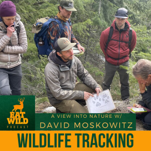 EatWild 87 - Wildlife Tracking with David Moskowitz
