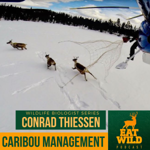 EatWild 54 - Caribou Management with Biologist Conrad Thiessen