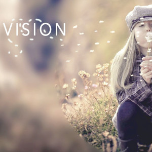 Steve Miles | Vision