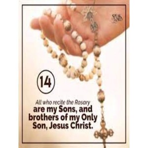 Deepertruth: Stand In The Gap With Us And Blessed Solanus Casey