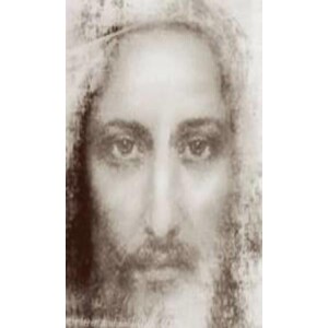 Deepertruth: ETERNAL FATHER, we offer You the Holy Face of Jesus, covered with