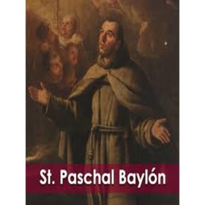 Deepertruth: Stand In The Gap With Saint Paschal Baylon