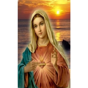 Deepertruth: Day 1- Novena to the Immaculate Heart of Mary
