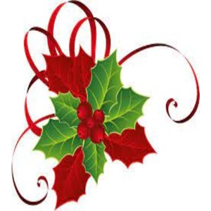 Deepertruth: Christmas the Season of the Mistletoe