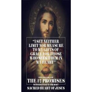 Deepertruth:Promises of the Sacred Heart of Jesus to St. Margaret Mary Promise 4