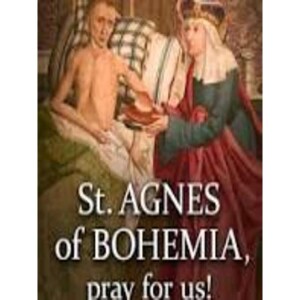 Deepertruth: Stand In The Gap With Us And Saint Agnes of Bohemia