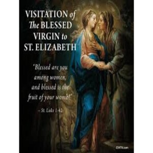 Deepertruth: Stand In The Gap With Us And honor visitation of the blessed virgin