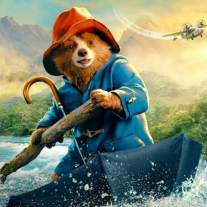 Paddington en Perú | Daily Ted 072