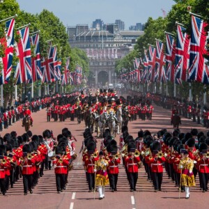 Trooping the Colour - Información Práctica | Daily Ted 152