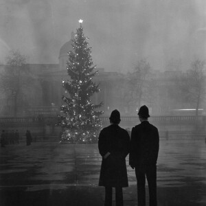 El árbol de Navidad de la Plaza de Trafalgar | Daily Ted 077