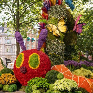 Eventos florales en Londres: Chelsea Flower Show, Chelsea in Bloom y Belgravia in Bloom | Daily Ted 142