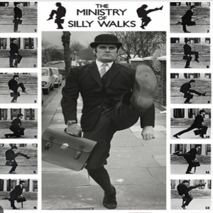 Episode 10: Silly Walking Through Medical Trauma: Strategies to Stay Resilient