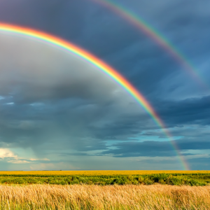 Episode 19: Using your mind for healing