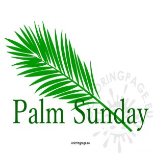 Palm Sunday 2019: The Resolute Christ
