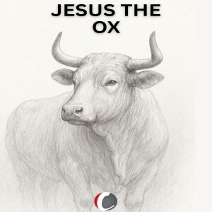Jesus The Ox - The 4 Faces of Jesus - Frikkie Potgieter