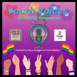Youth Voices - The Introduction