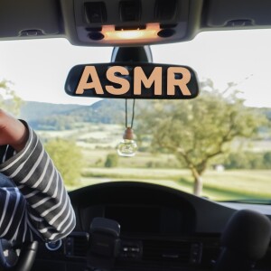 ASMR in einem Auto (BMW i320 e90)