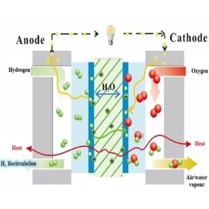 The Development of Fuel Cell Batteries and its Sustainable Future