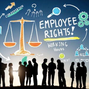 Executive Decisions: Debunking Non-Disclosures