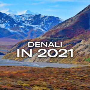 Visiting Denali in 2021