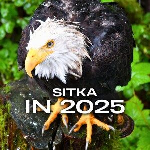 Visiting Sitka in 2025