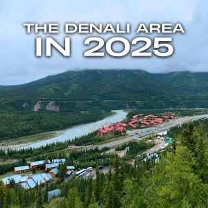 Visiting the Denali Area in 2025