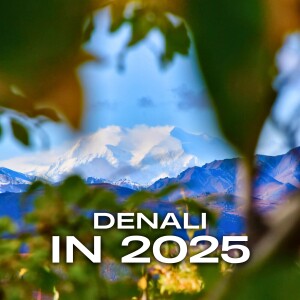 Visiting Denali in 2025