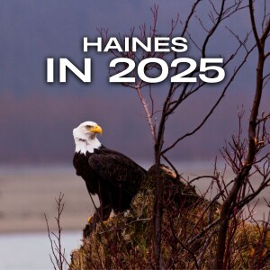 Visiting Haines in 2025