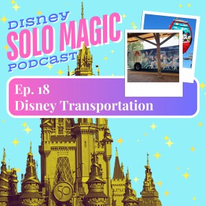 Transportation Around Walt Disney World for Solos