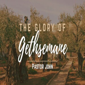 "The Glory of Gethsemane" | Wed PM | Luke 22